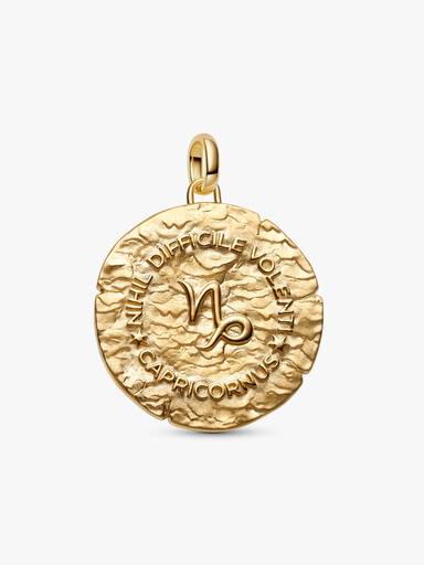 Conta Medalhão Grande Zodíaco Capricórnio