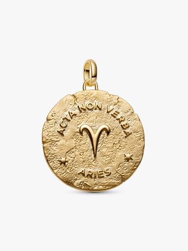 Conta Medalhão Grande Zodíaco Aquário