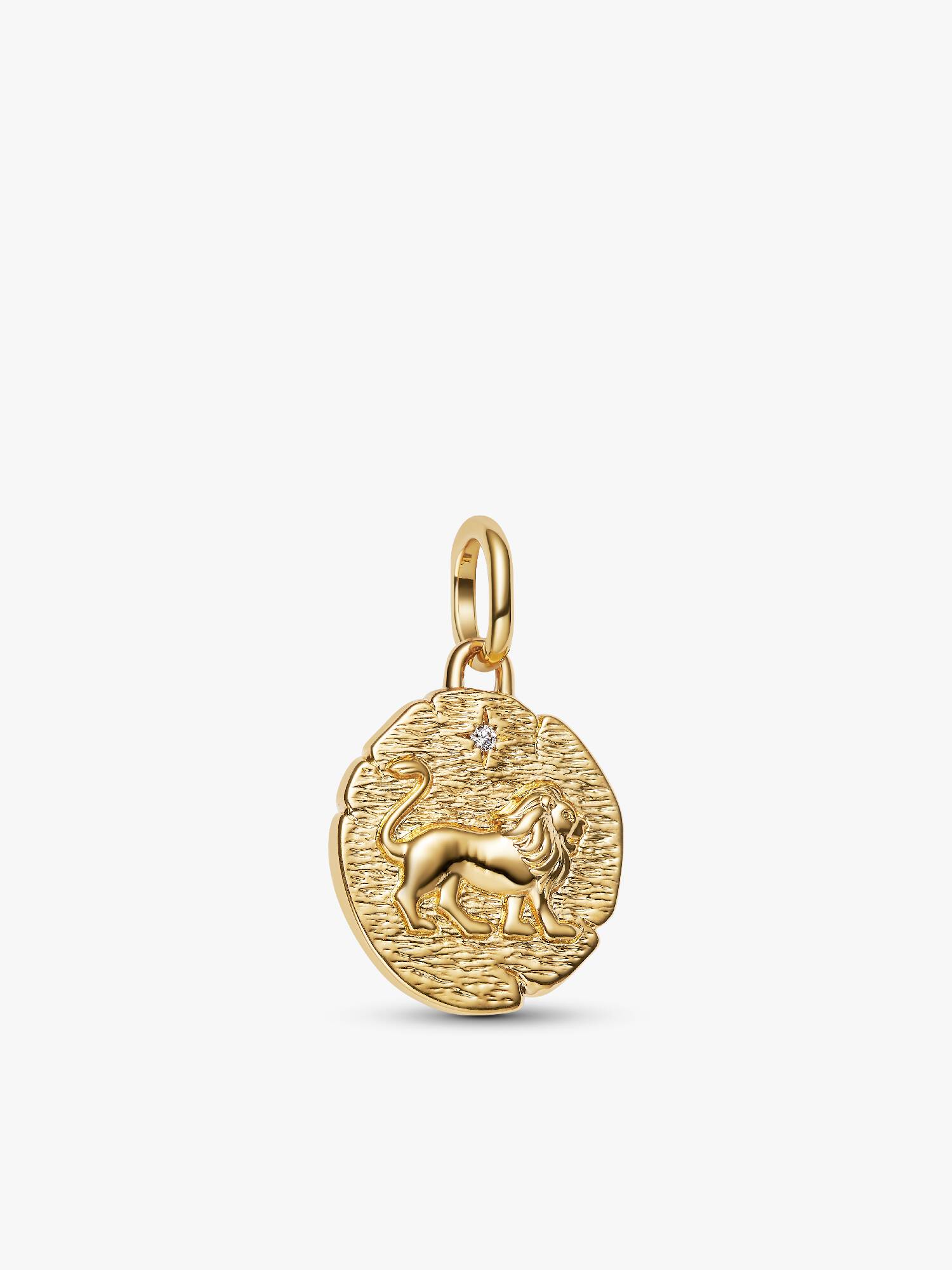 Conta Medalhão Leão