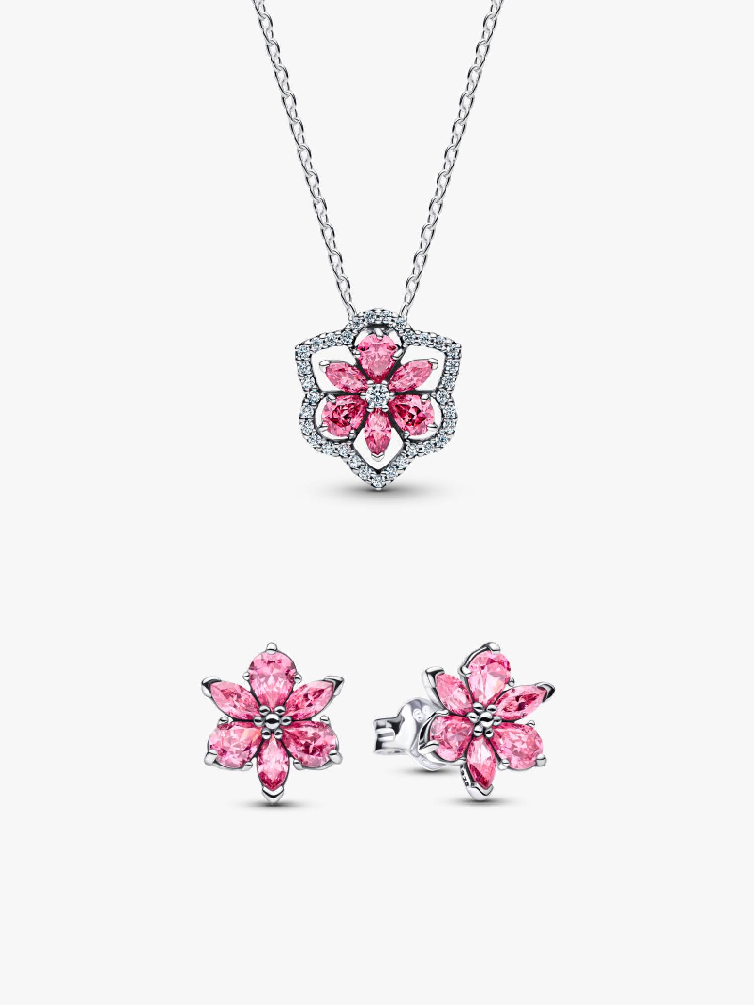Conjunto de Presente Herbário Flor Rosa Brilhante