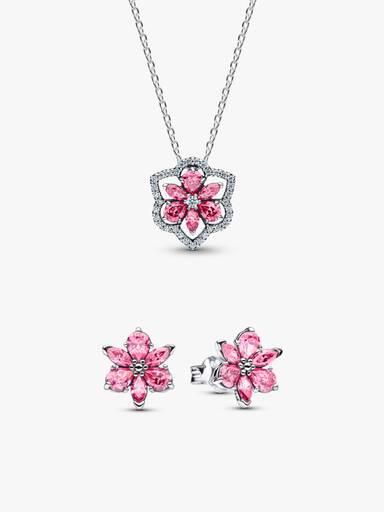 Conjunto de Presente Herbário Flor Rosa Brilhante