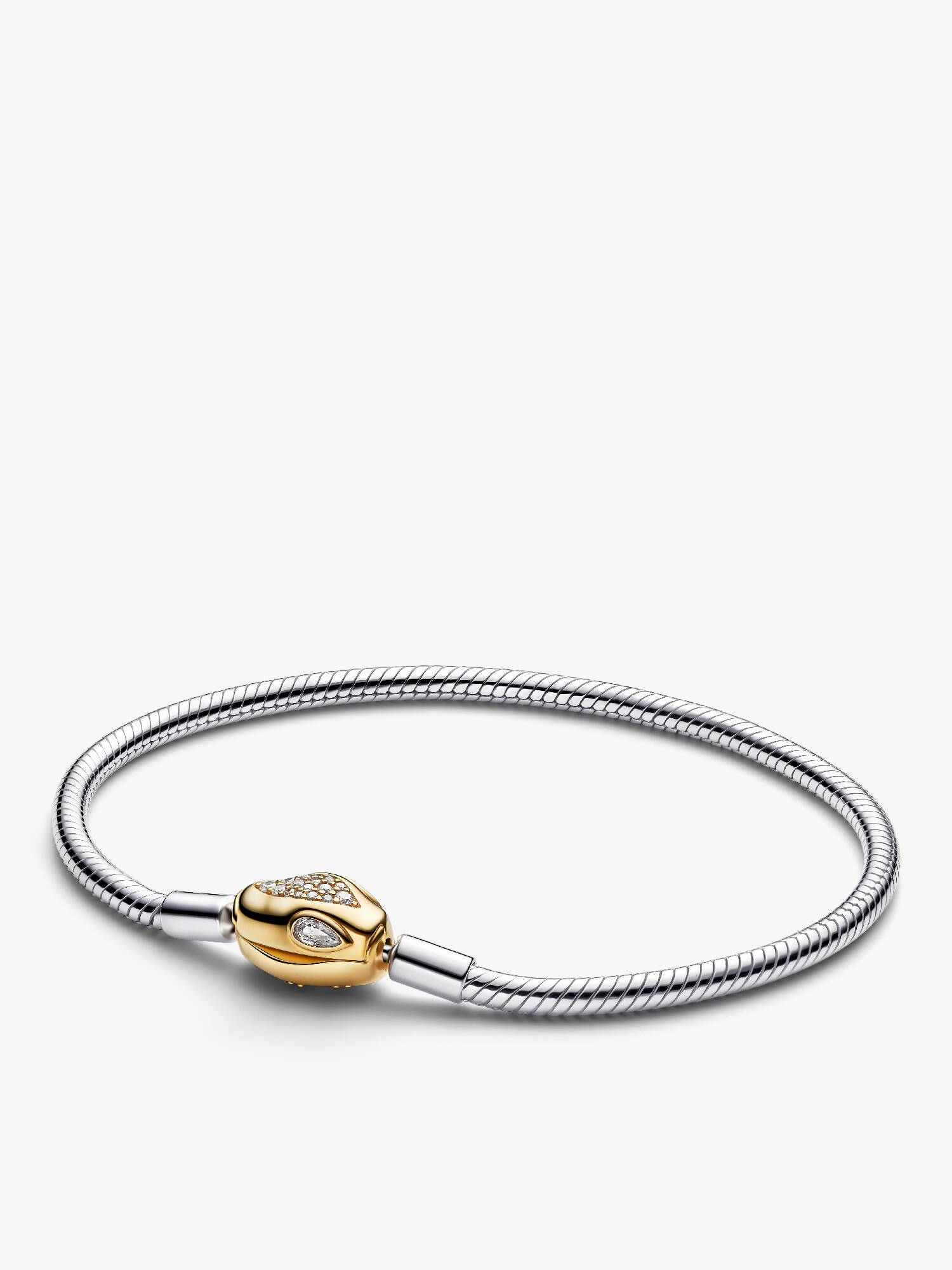 Pulseira de Corrente e Fecho Snake