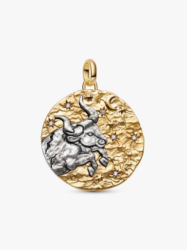 Conta Medalhão Grande Zodíaco Touro