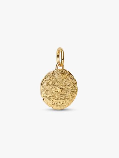 Conta Medalhão Leão