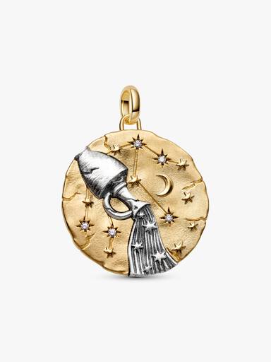 Conta Medalhão Grande Zodíaco Aquário