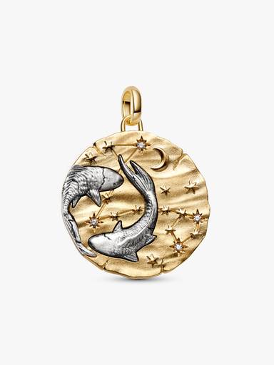 Conta Medalhão Grande Zodíaco Peixes