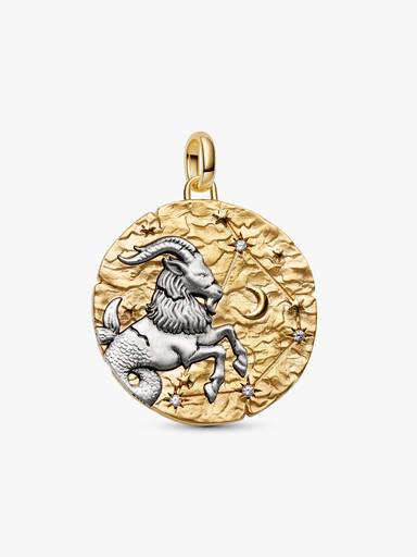 Conta Medalhão Grande Zodíaco Capricórnio