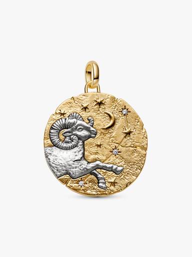 Conta Medalhão Grande Zodíaco Aquário