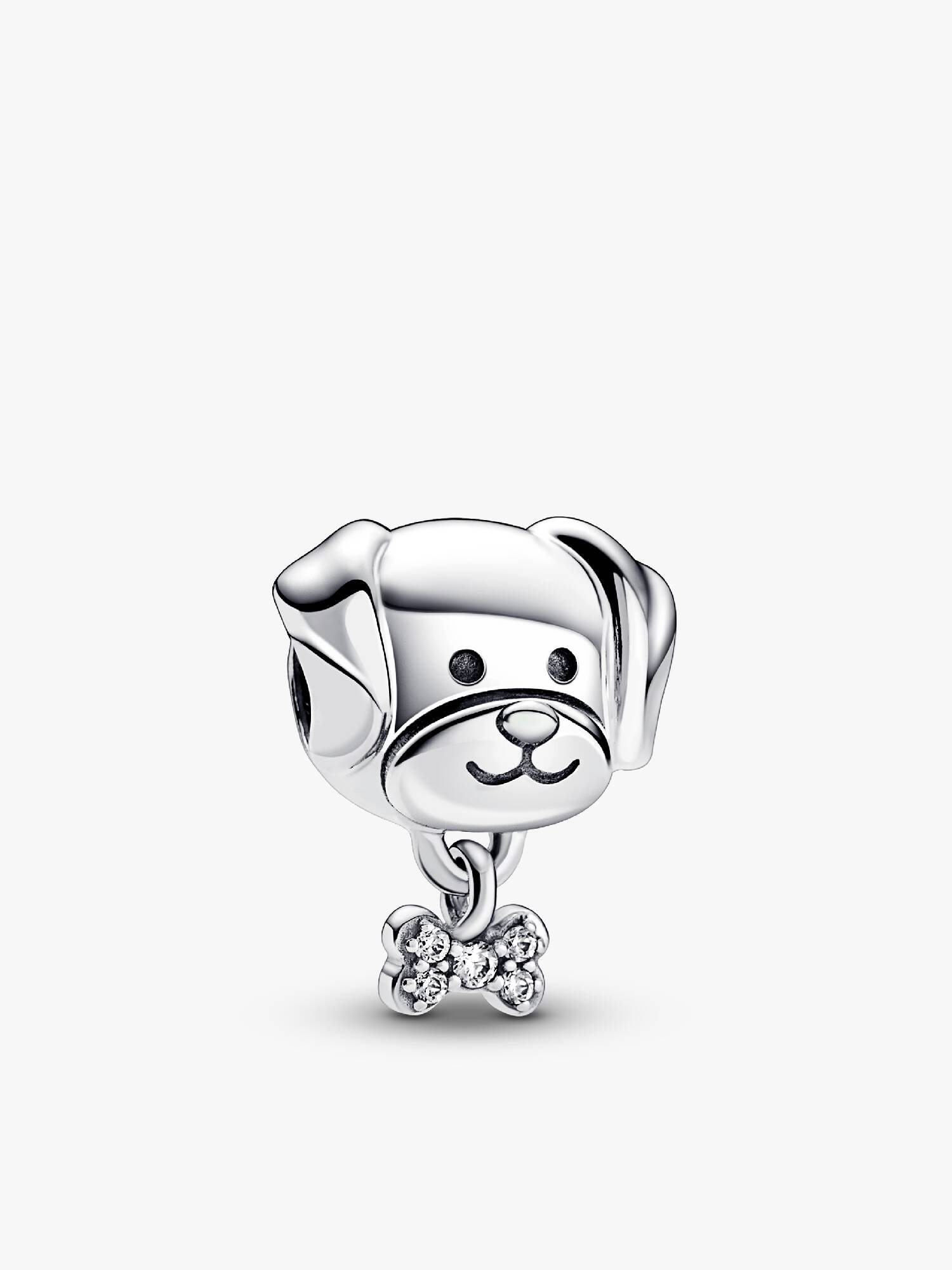 Conta Cão & Osso