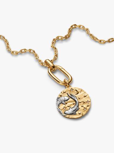 Conta Medalhão Grande Zodíaco Peixes