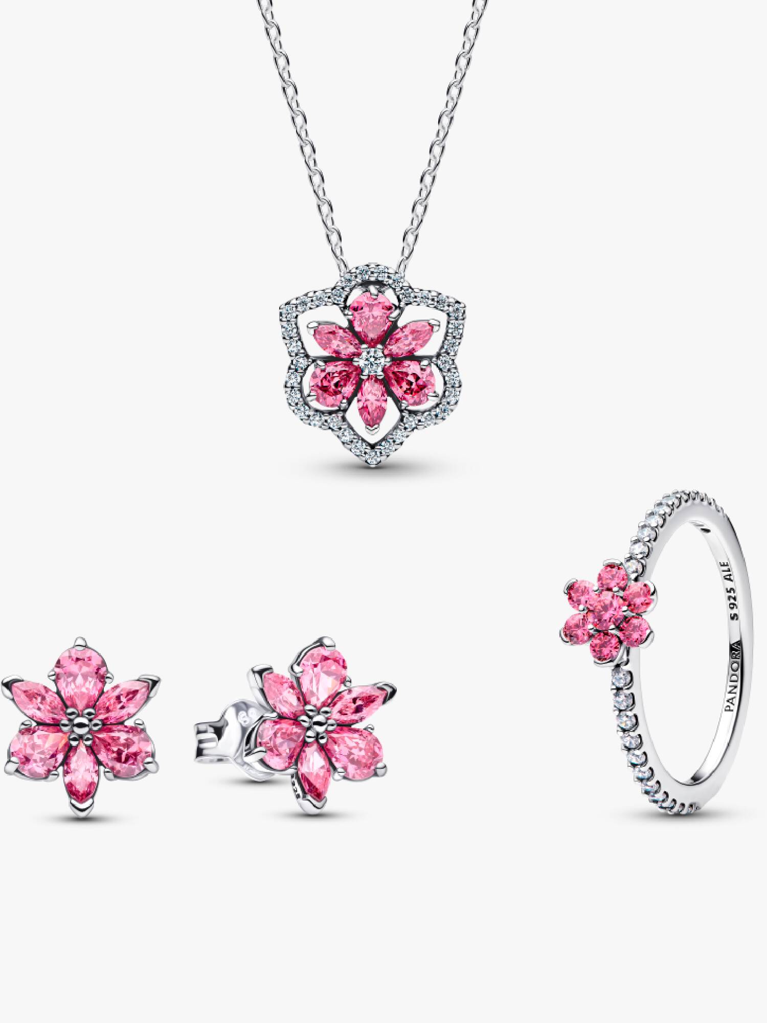 Conjunto de Presente Herbário Flor Rosa Brilhante Completo