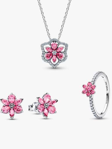 Conjunto de Presente Herbário Flor Rosa Brilhante Completo