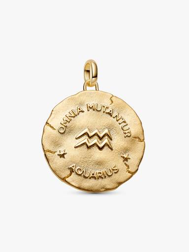 Conta Medalhão Grande Zodíaco Aquário