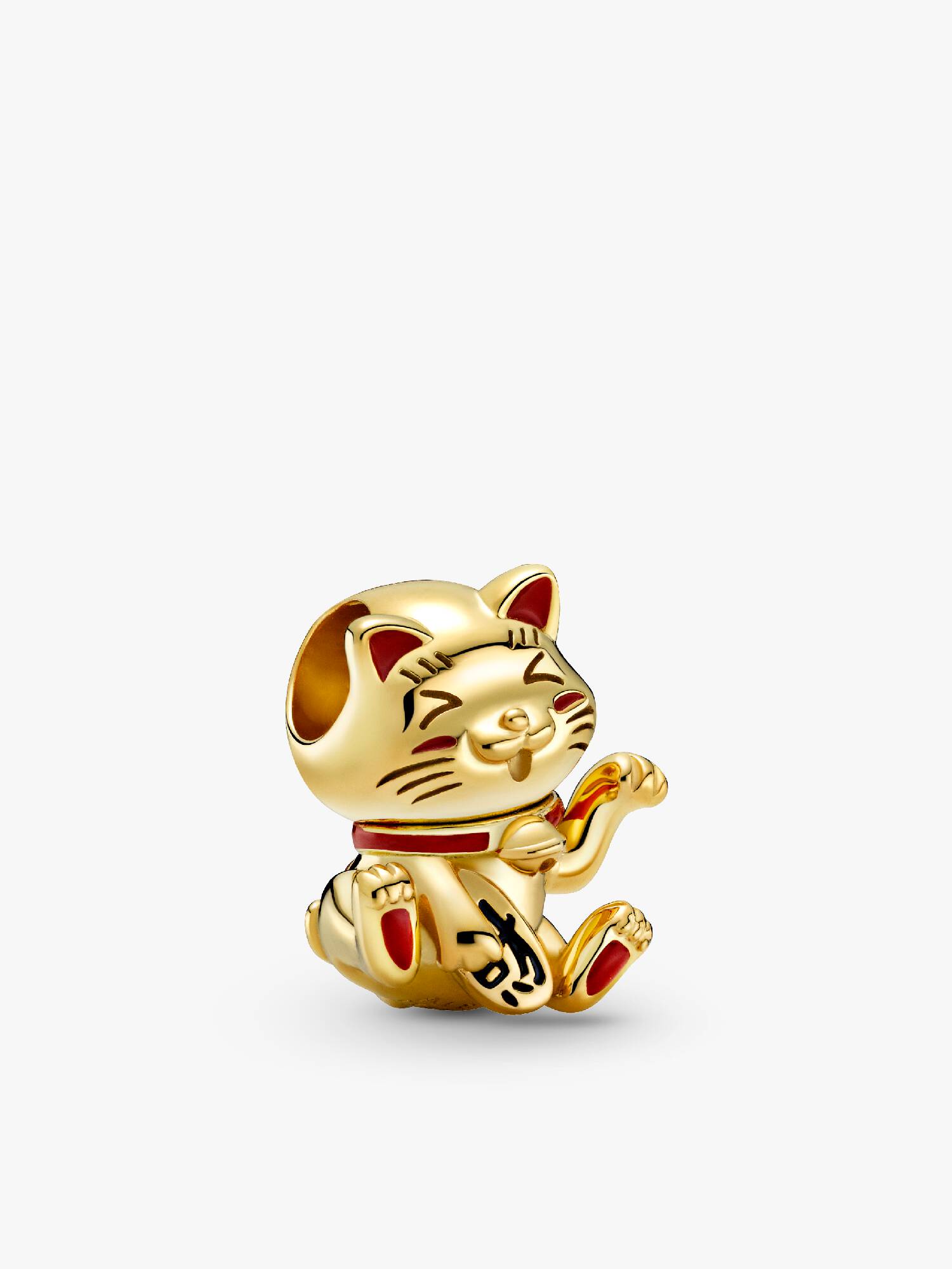 Conta Gato da Sorte