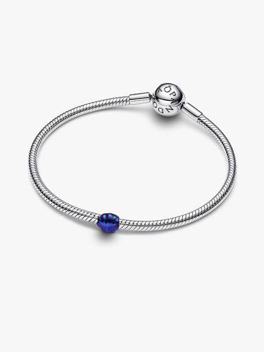 Mini Conta Concha Azul