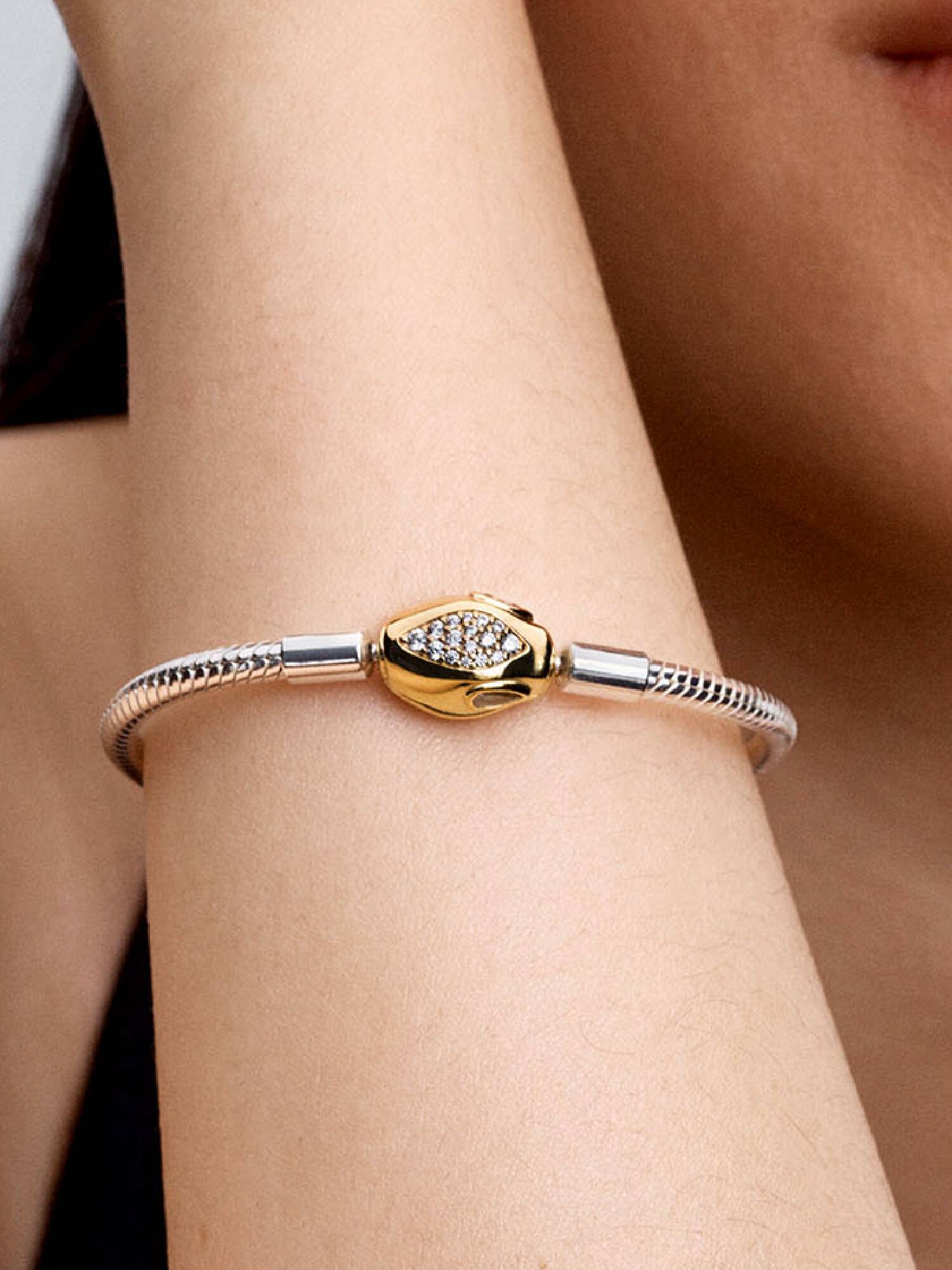 Pulseira de Corrente e Fecho Snake