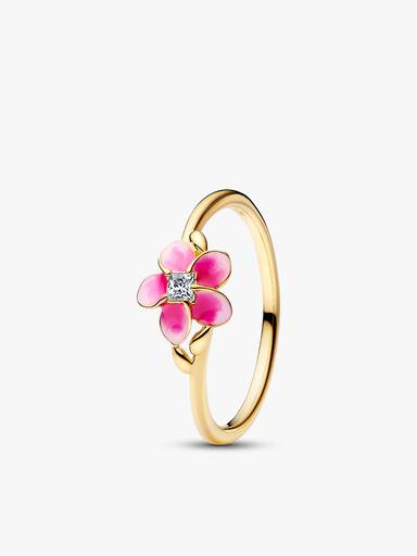 Conjunto de Presente Disney Vaiana