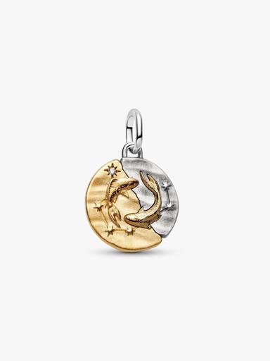 Conta Medalhão Zodíaco Peixes